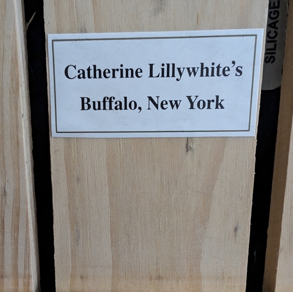 Mini ornaments by Catherine Lilly White, Buffalo, NY - Picture 4 of 6